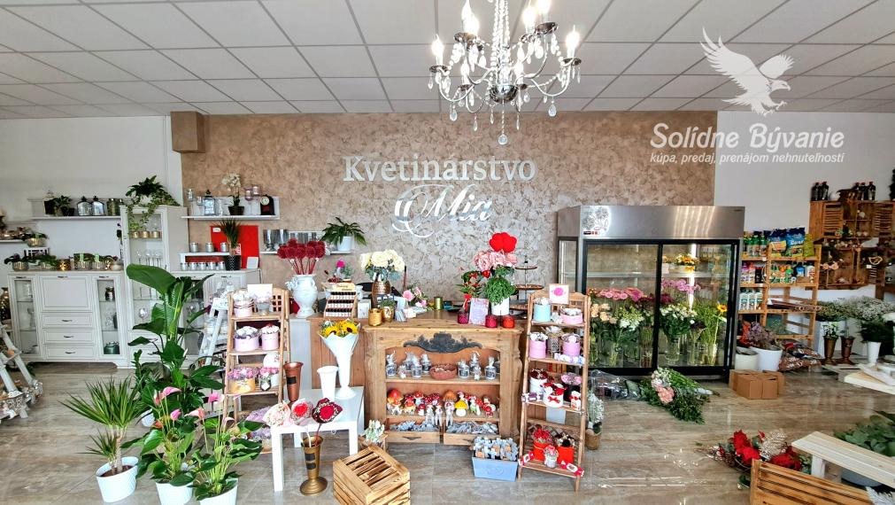 Odstúpenie obchodného priestoru v Šali