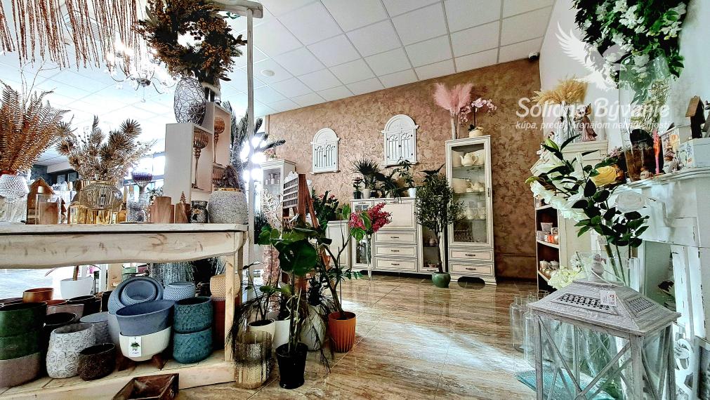 Odstúpenie obchodného priestoru v Šali