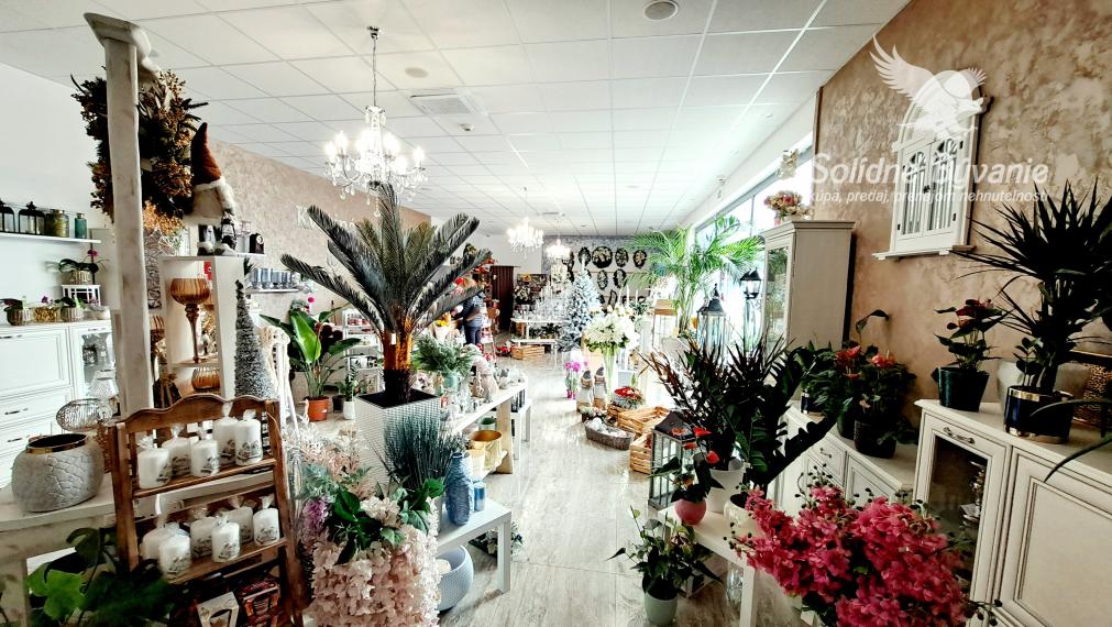 Odstúpenie obchodného priestoru v Šali