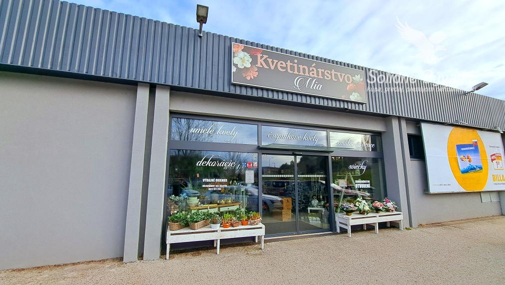 Odstúpenie obchodného priestoru v Šali