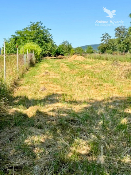 Rodinný dom LEVICE - PREDAJ - DOHODA NA CENE