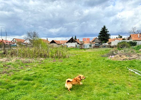 Predaj RD v obci Bátovce