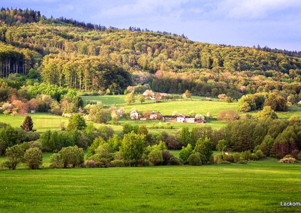 Na predaj: Pozemok v obci Stará Huta s rozlohou 2,9ha