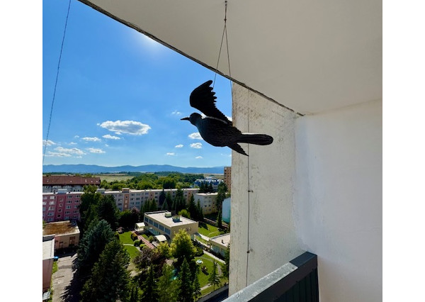 Prenájom garsónky v centre mesta Žiar nad Hronom